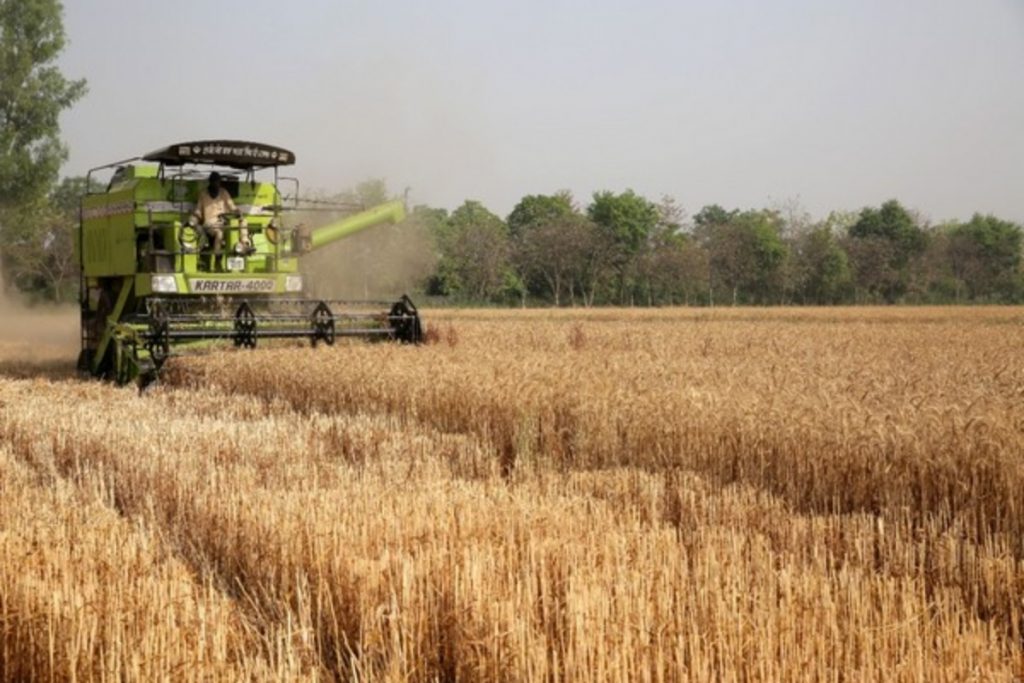 Wheat Export
