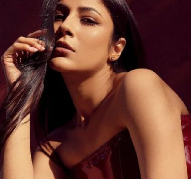 Shehnaaz Kaur Gill, aka “Punjab ki Katrina Kaif,” is a pure soul