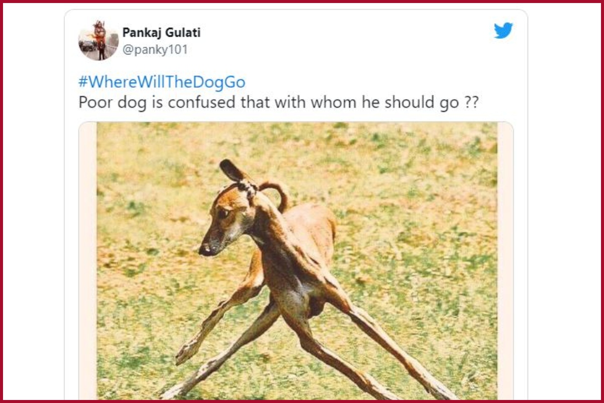 Memes galore on social media as IAS couple who ‘walked dog in Thyagraj Stadium’ transferred