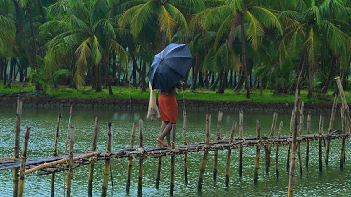Monsoon knocks early in Kerala, state to get heavy rainfall for next 5 days