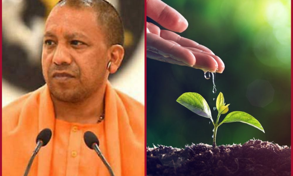 Every Gram Panchayat must plant 75 saplings each, urges CM Yogi
