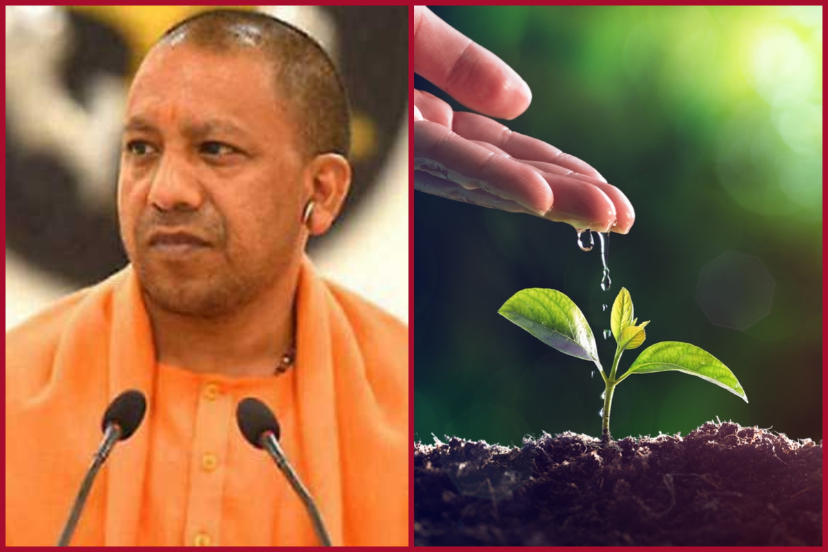 Every Gram Panchayat must plant 75 saplings each, urges CM Yogi