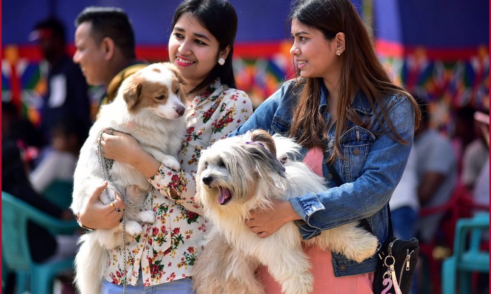 Noida imposes Rs 10,000 fine for mishap caused by pet animals from March 2023