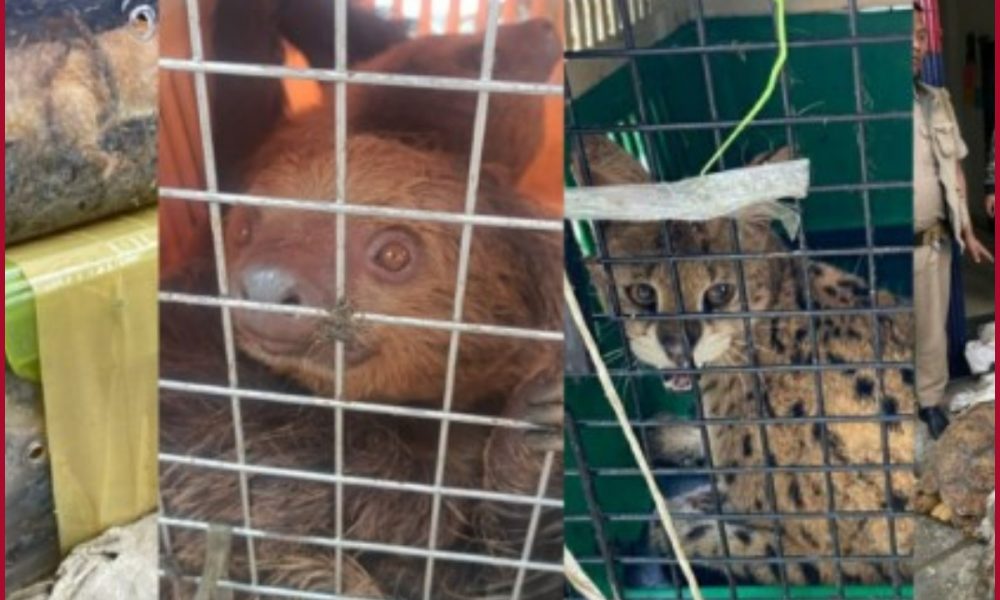 Mizoram Police rescues 468 animals, gears up to tackle smuggling of exotic species