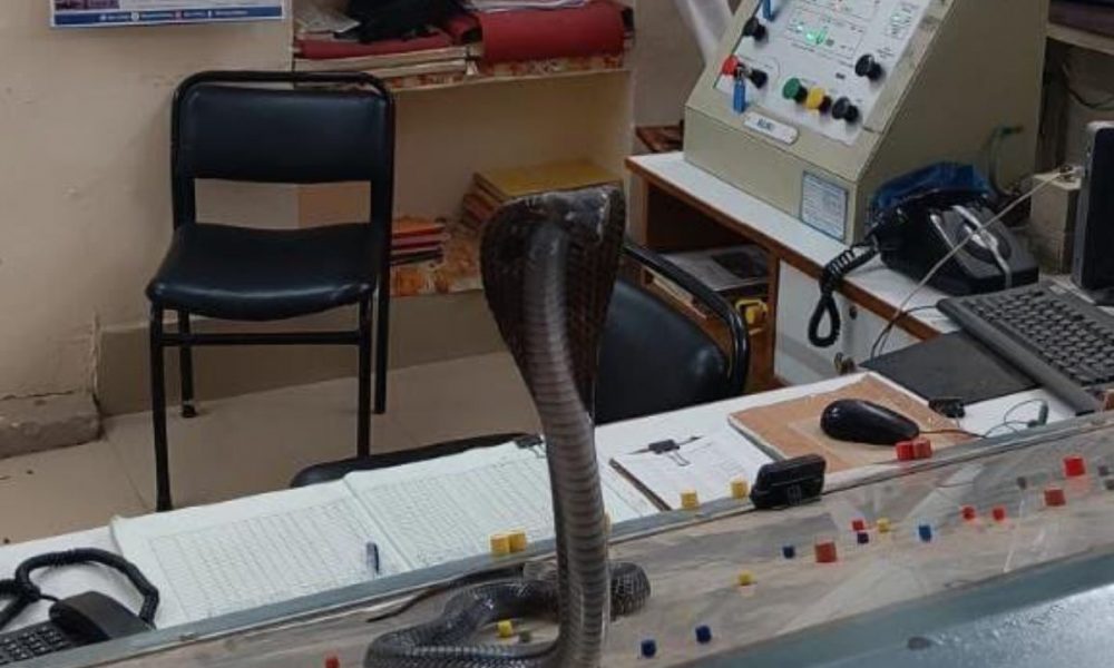 VIRAL PIC: Cobra lounges in control panel of a railway station at Rajasthan; Netizens take it on laughter note