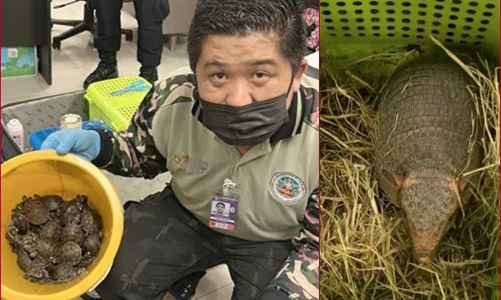 2 Indian women held with 109 live animals in their luggage at Thai Airport, arrested [SEE PICS]