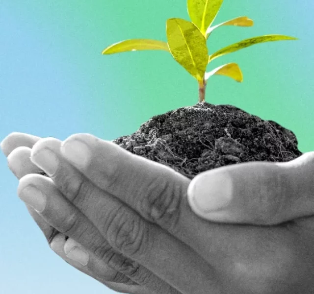 World Environment Day 2022: History, Significance and Theme