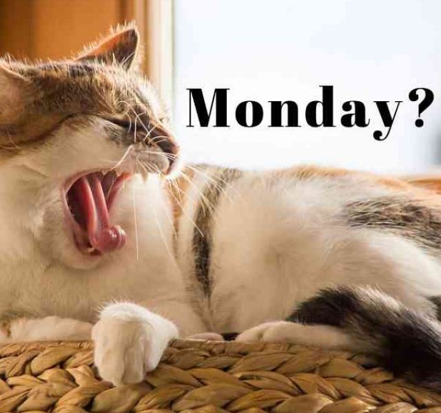 How to beat Monday blues