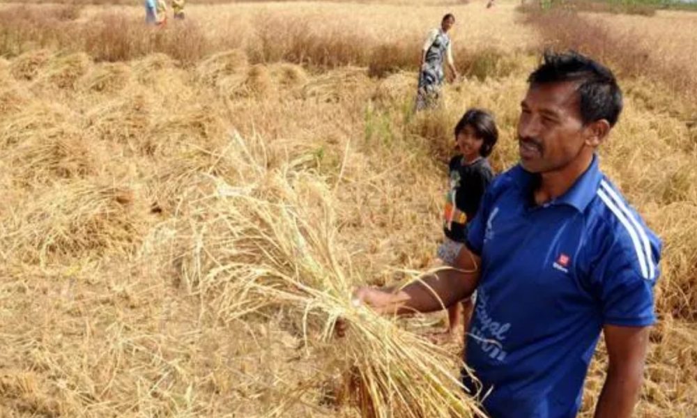 Farmers in Uttar Pradesh to prosper with Bhamashah Scheme