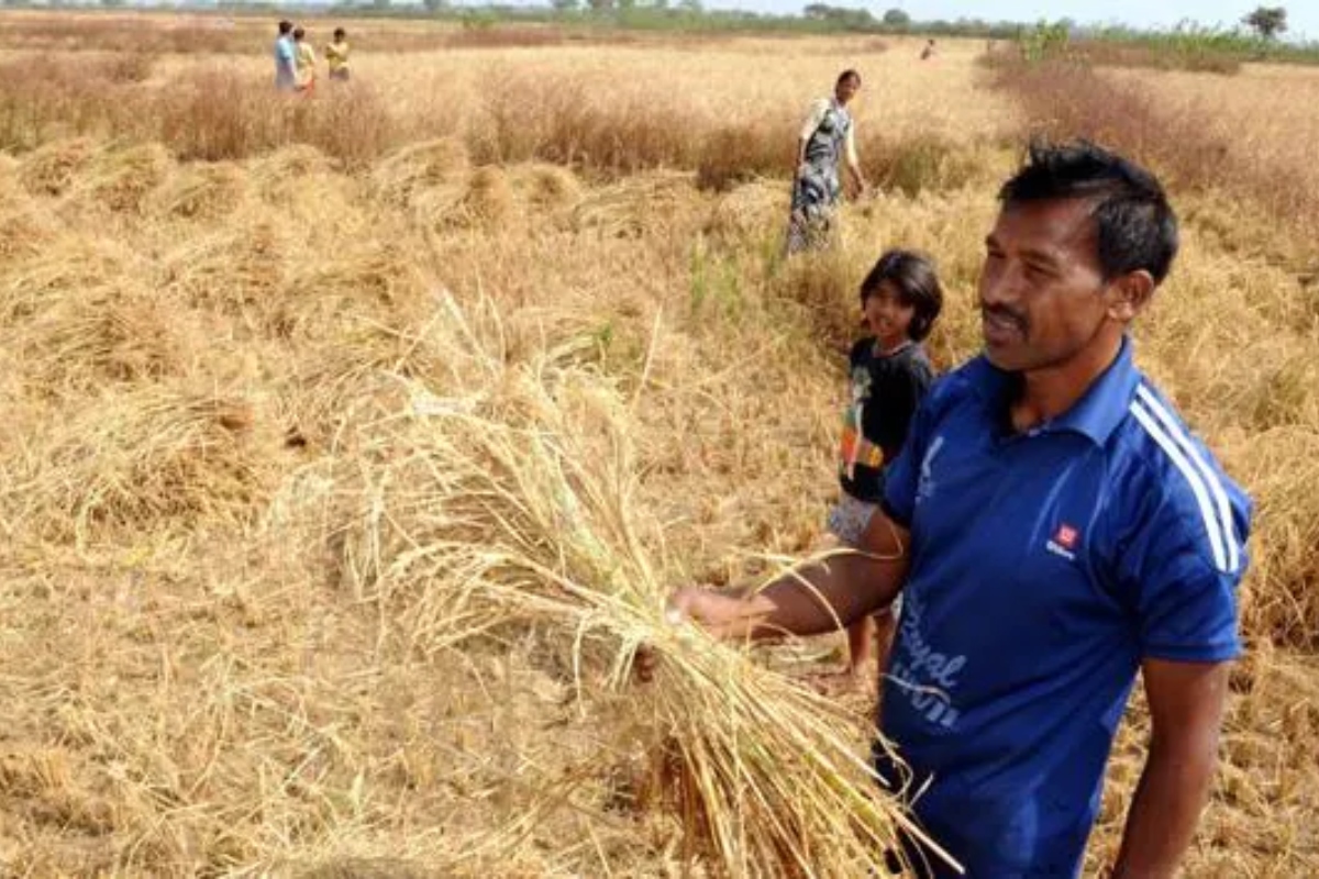 Farmers in Uttar Pradesh to prosper with Bhamashah Scheme