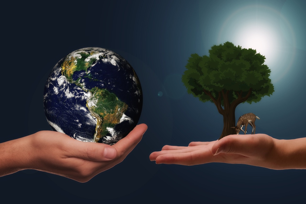 Why is World Environment day celebrated? Know about 2022 theme and significance of this day