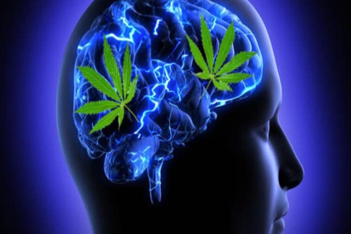 What impact does cannabis (marijuana) have on our physical and mental health?
