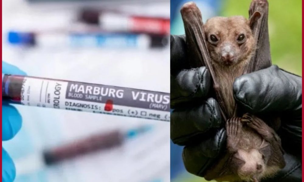 What is the Marburg virus that caused two confirmed cases in Ghana?