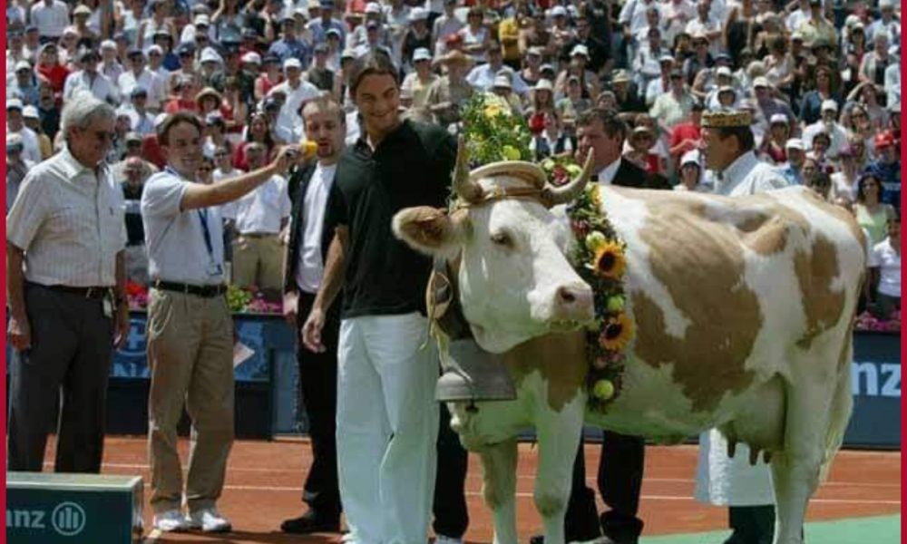 Tennis star Roger Federer & his ‘love for cows’ lights up the internet