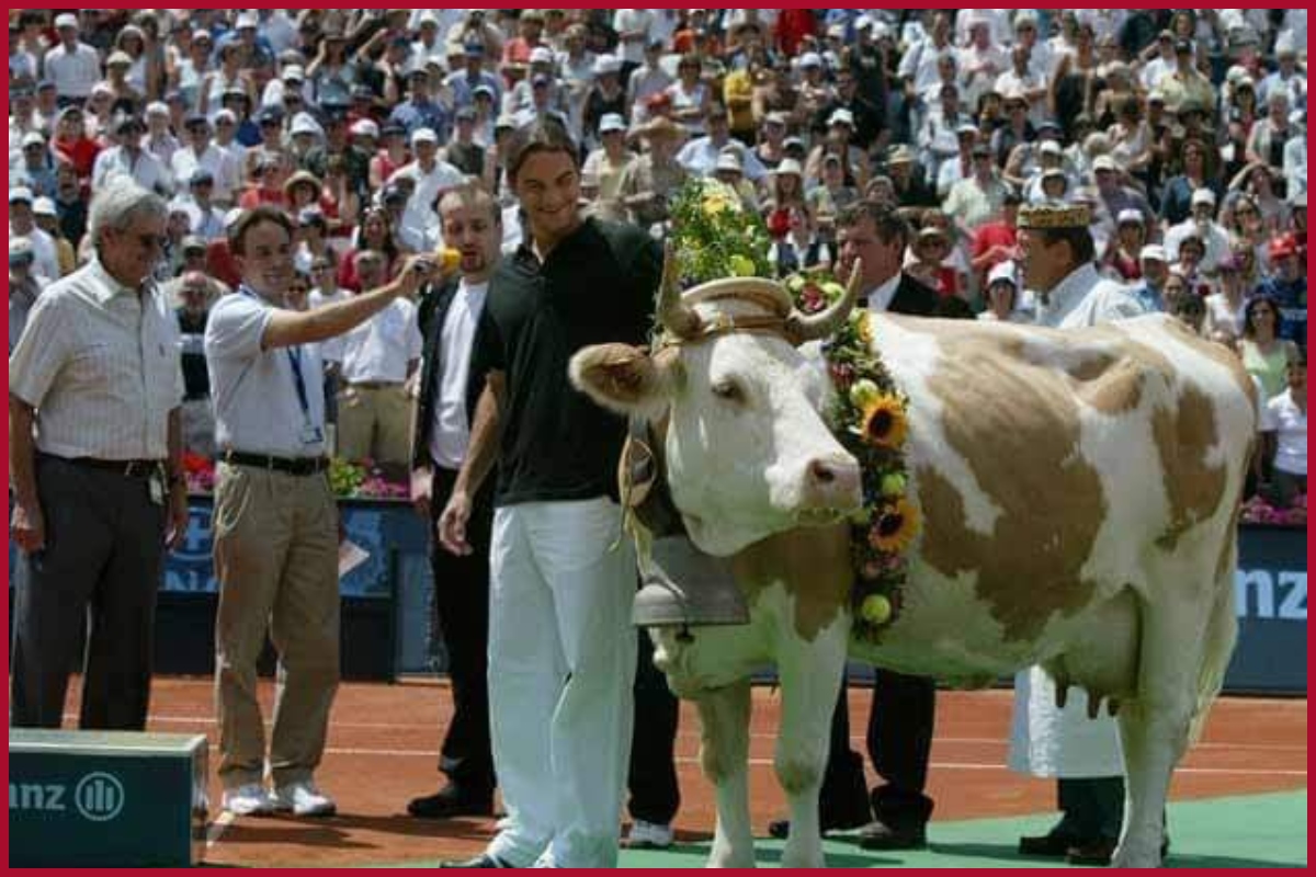 Tennis star Roger Federer & his ‘love for cows’ lights up the internet