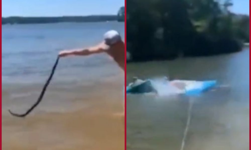 Man throws water snake on other people by mistake; video goes viral