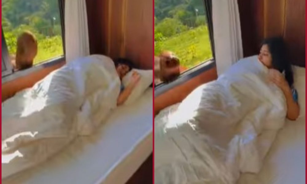 Elephant wakes woman in morning in Thailand hotel room; video goes viral on the internet 