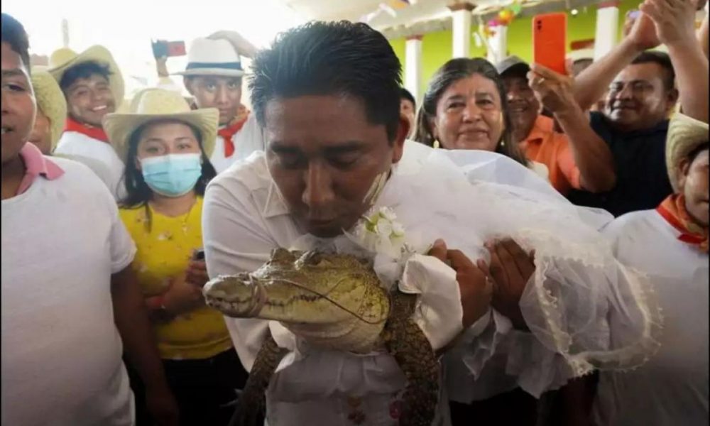 Mexican mayor marries off his alligator in centuries-old ritual; seals vows with kiss (WATCH VIDEO)