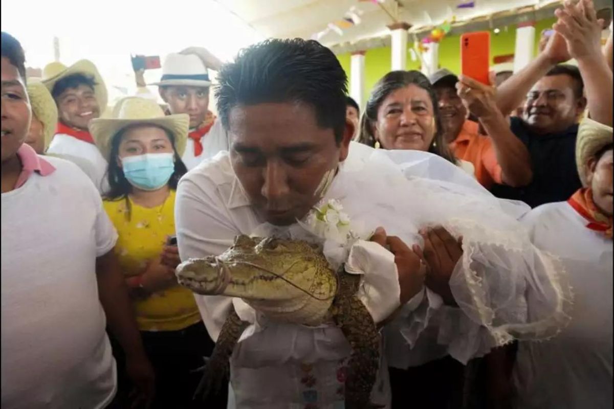 Mexican mayor marries off his alligator in centuries-old ritual; seals vows with kiss (WATCH VIDEO)