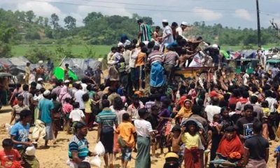 Rohingya