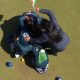 lawn bowls (1)