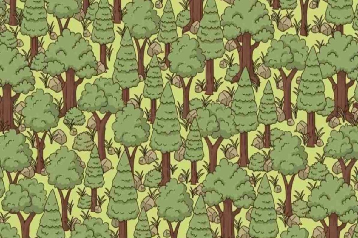 Find the hidden hedgehog in 15 seconds with this optical illusion. Can you do it?