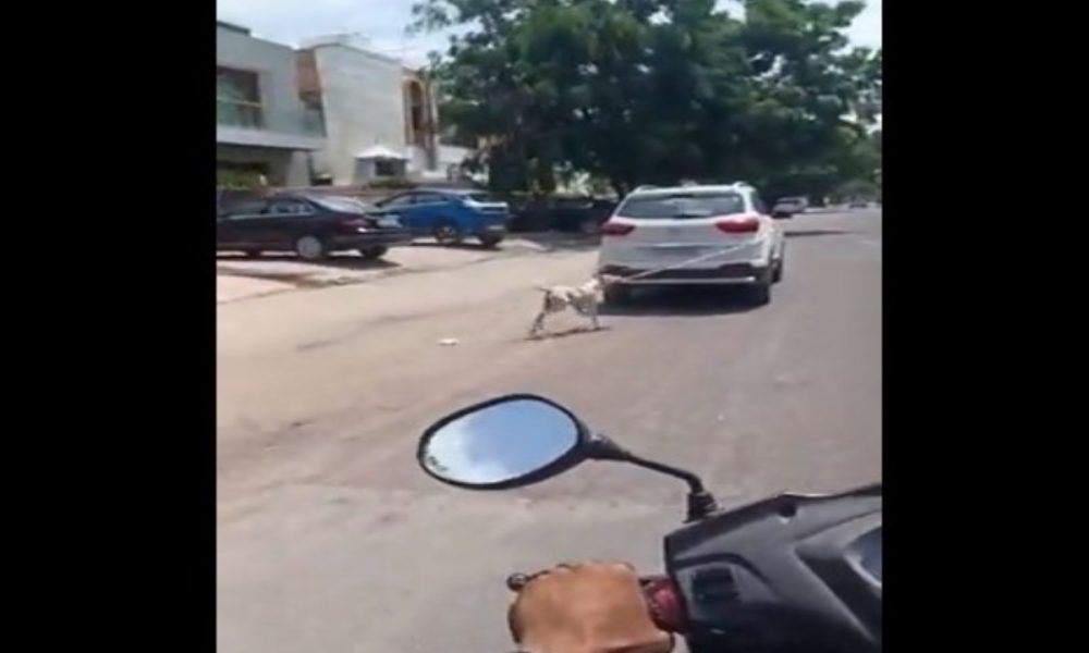 Here’s what happened after a dog was tied to a car and dragged along the road in Jodhpur; Watch