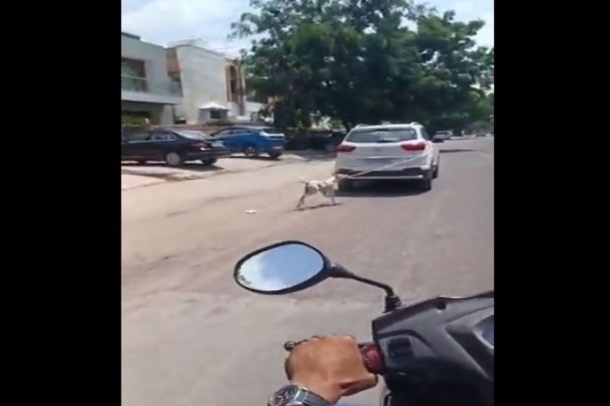 Here’s what happened after a dog was tied to a car and dragged along the road in Jodhpur; Watch
