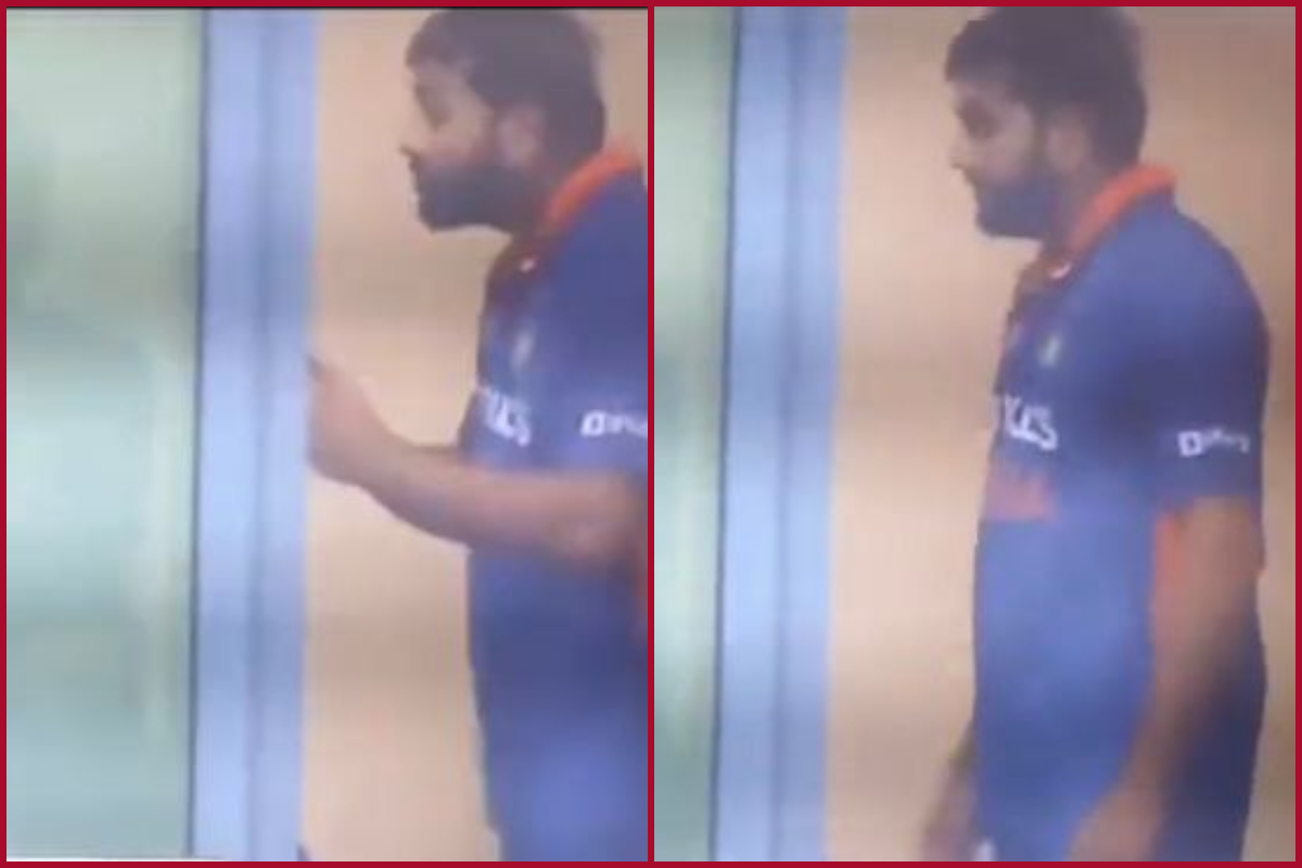 Watch Video: Rohit Sharma seeks explanation from Rishabh Pant for poor dismissal