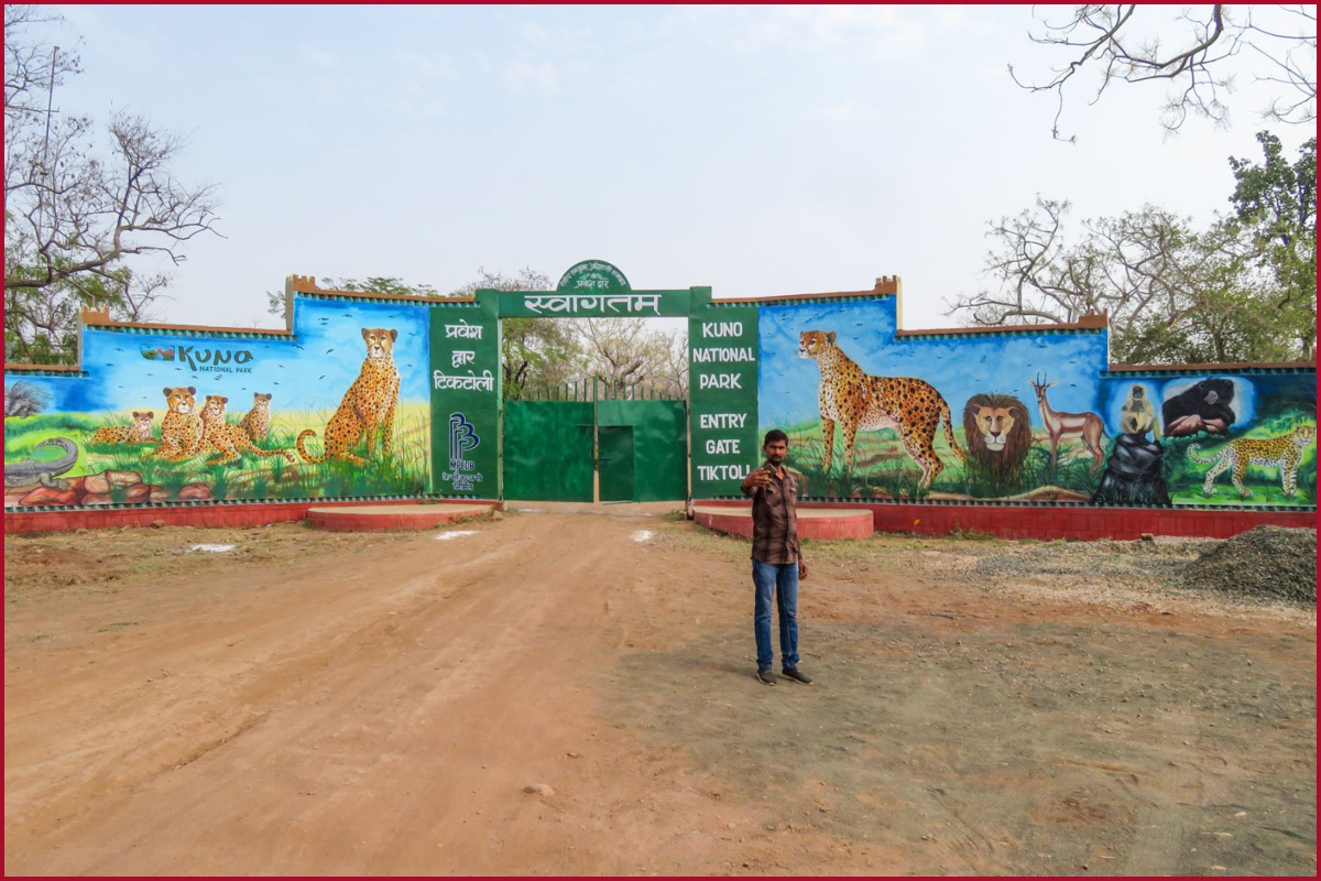 kuno palpur national park