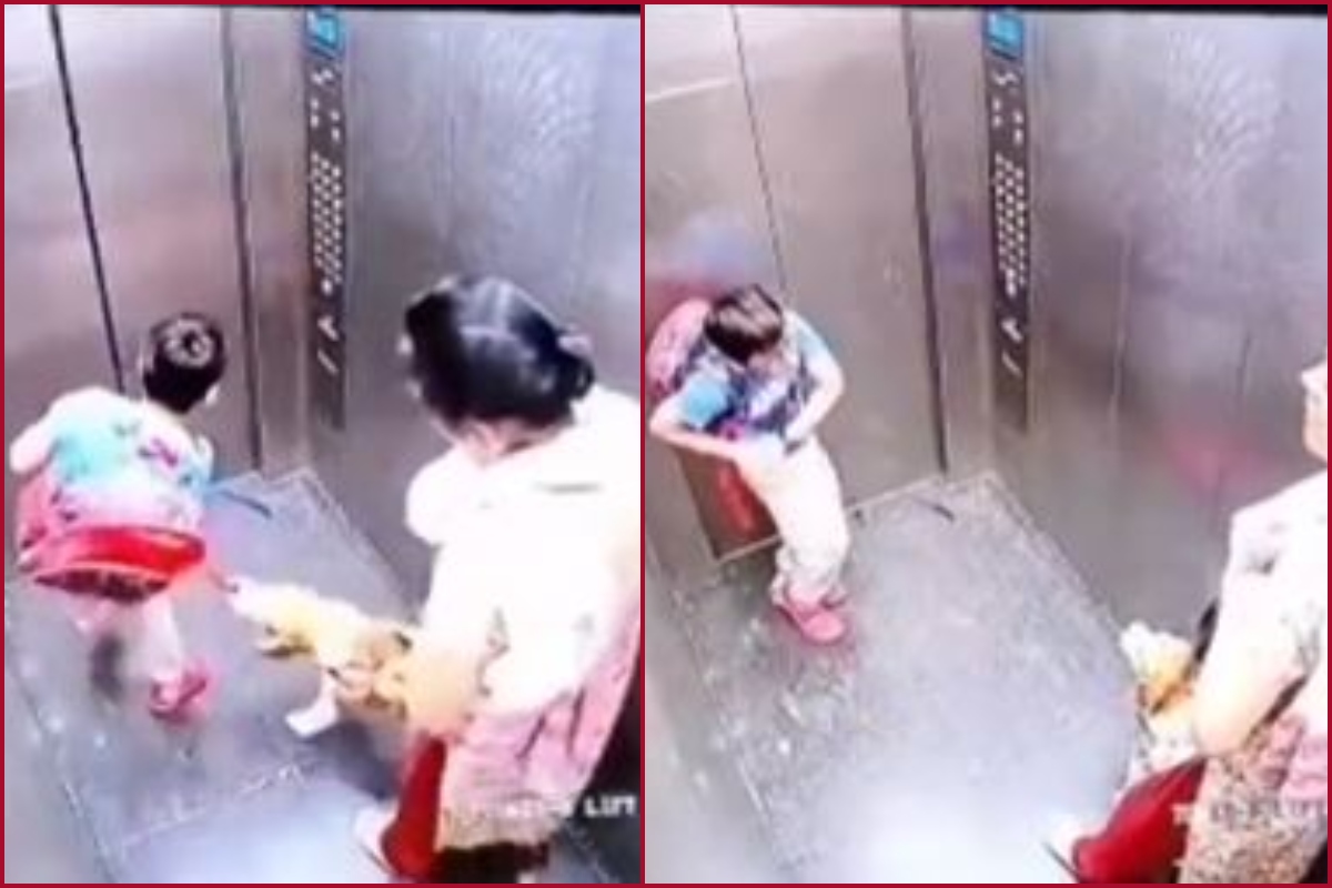 Ghaziabad Horror: Dog bites boy in society’s lift, case registered against owner (CCTV FOOTAGE)