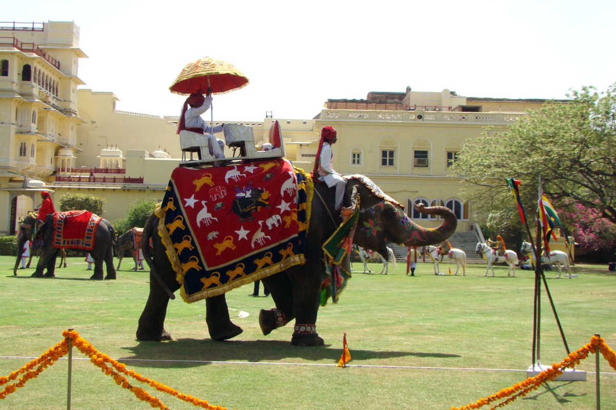 Elephant festival