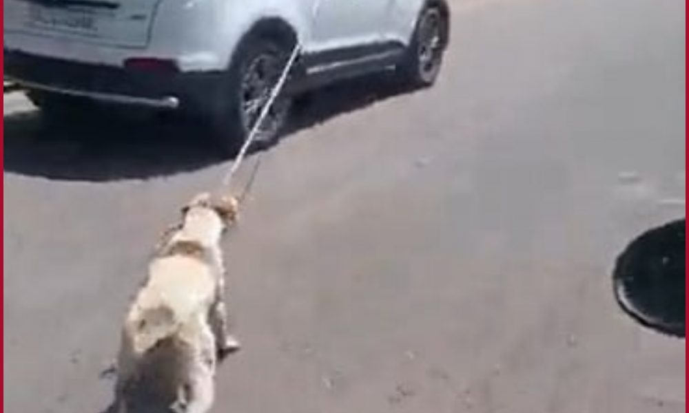 Rajasthan: Dog tied to a car, dragged around Jodhpur; driver held (VIDEO)