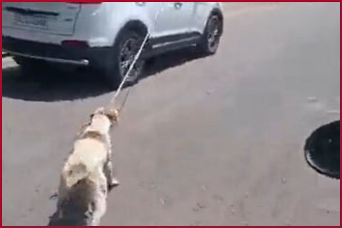 In a shocking incident, a video of a dog tied to a car by the leash has gone viral on social media.