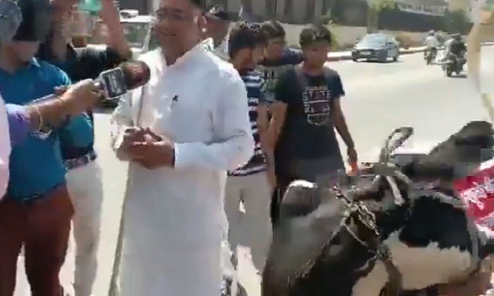 ‘Gau Mata also angry’: MLA brings cow to Rajasthan Assembly but what follows amuses all (VIDEO)