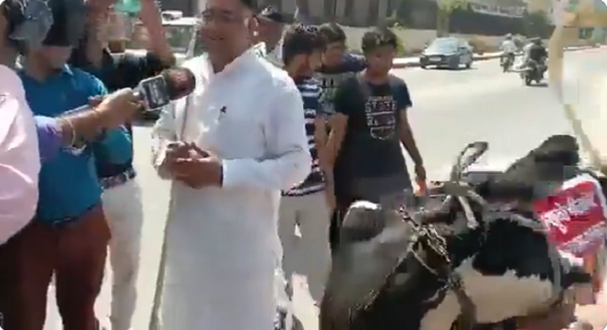 ‘Gau Mata also angry’: MLA brings cow to Rajasthan Assembly but what follows amuses all (VIDEO)