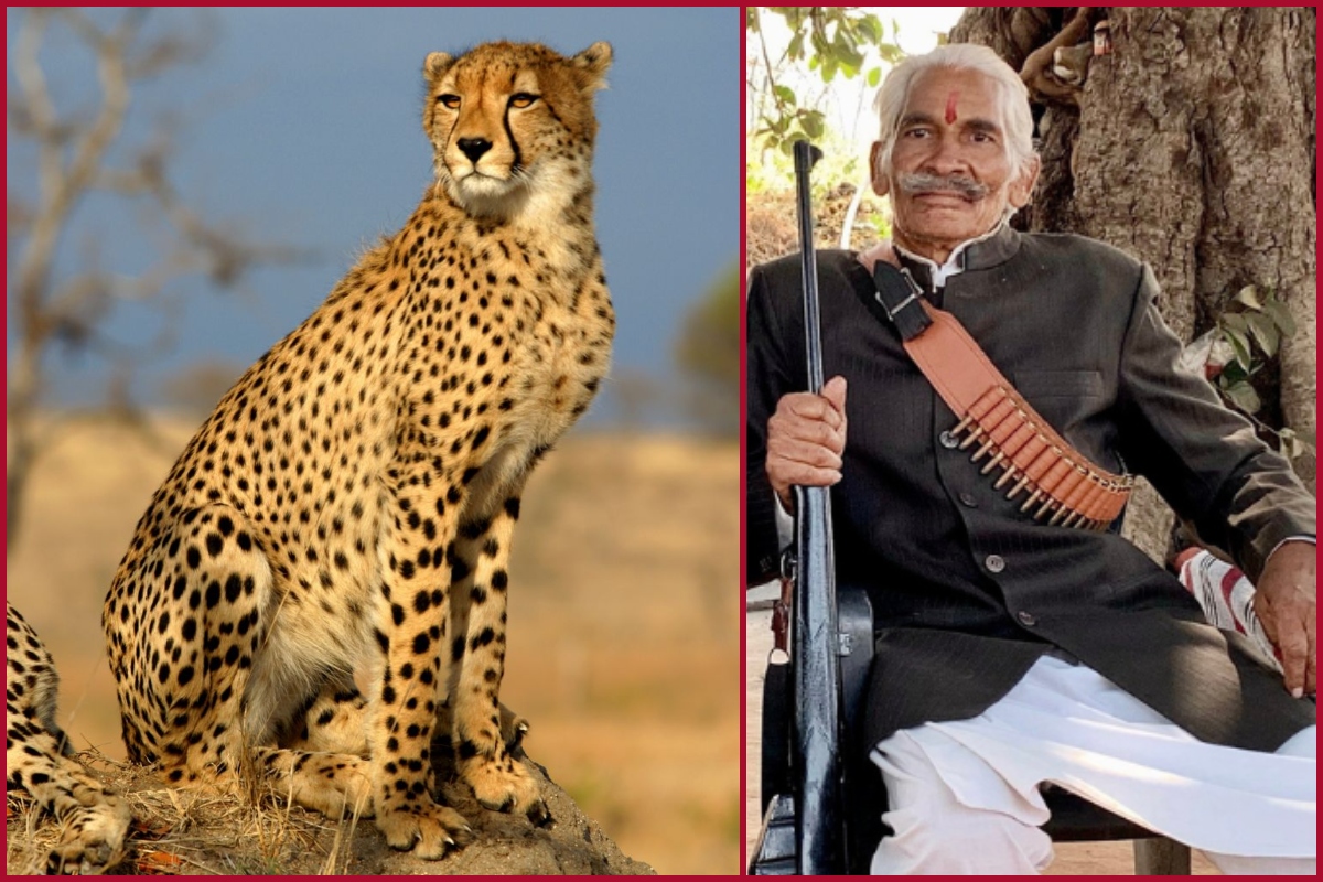 Who is dacoit turned ‘Cheetah Mitra’ Ramesh Sikarwar? Ready to hunt hunters at Kuno National Park