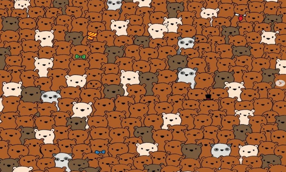 Brain Teaser: Find the three coconuts hidden among the bears in the given picture