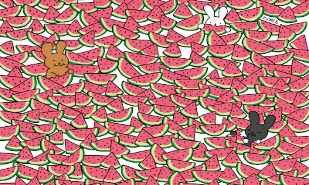 Brain Teaser: Can you find five special watermelons in this picture?
