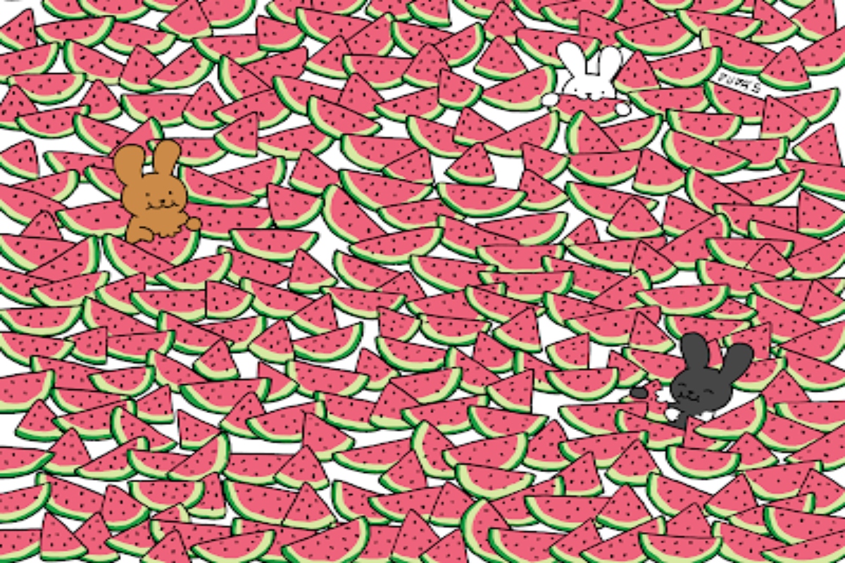 Brain Teaser: Can you find five special watermelons in this picture?