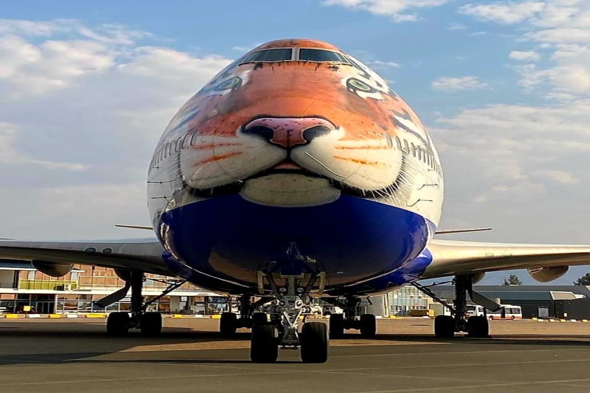 cheetah plane