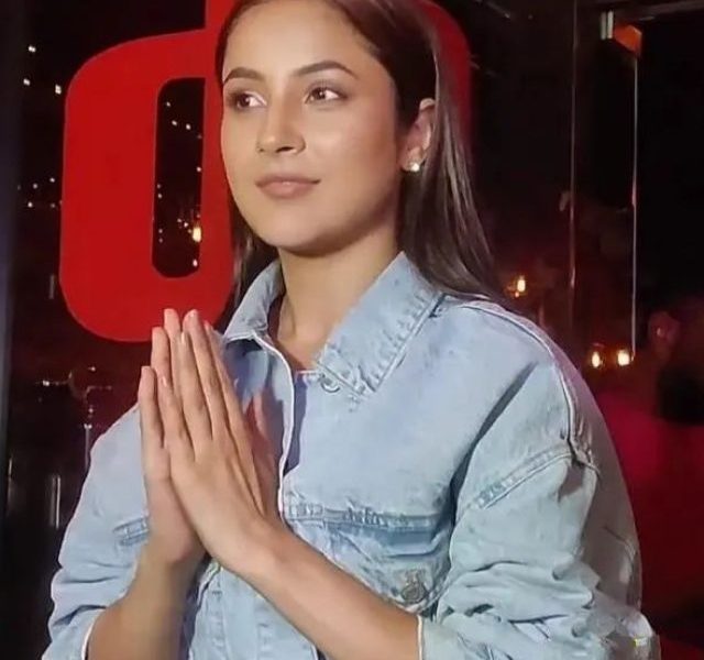Shehnaaz Gill stuns in all denim look