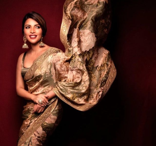 Bold and seductive saree looks: Shama Sikander
