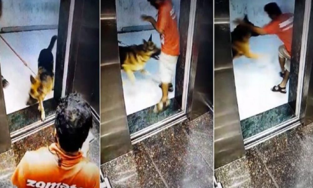 Maha: Dog bites Zomato delivery boy’s private part in upscale society’s lift, VIDEO surfaces