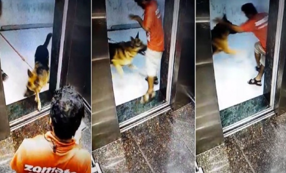 Maha: Dog bites Zomato delivery boy’s private part in upscale society’s lift, VIDEO surfaces