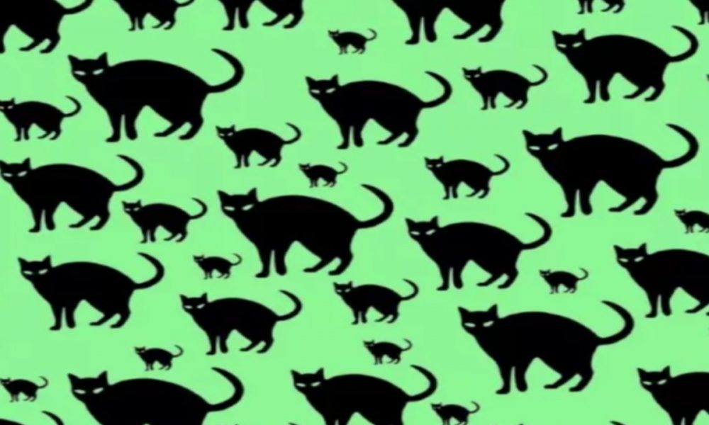 Optical Illusion: Find the mouse in the given picture that is hidden in 9 seconds