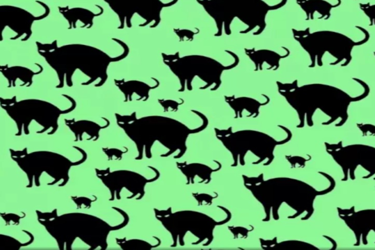 Optical Illusion: Find the mouse in the given picture that is hidden in 9 seconds