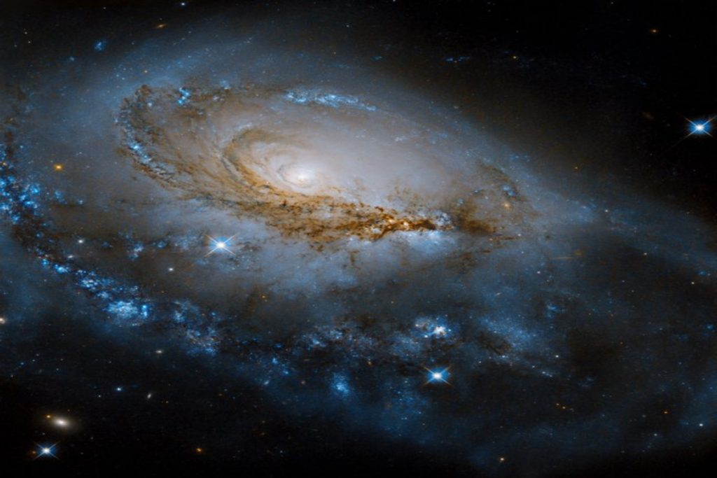 ngc 1961