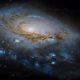 ngc 1961