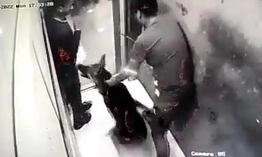 Yet another pet dog attack in lift, shocking VIDEO from Noida society surfaces online